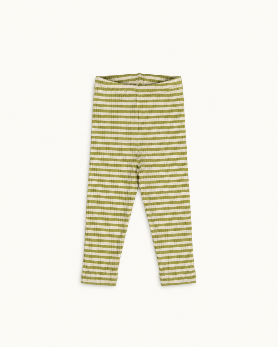 Green and cream striped Whippet baby leggings in Pima cotton and baby alpaca, elastic waistband, front view