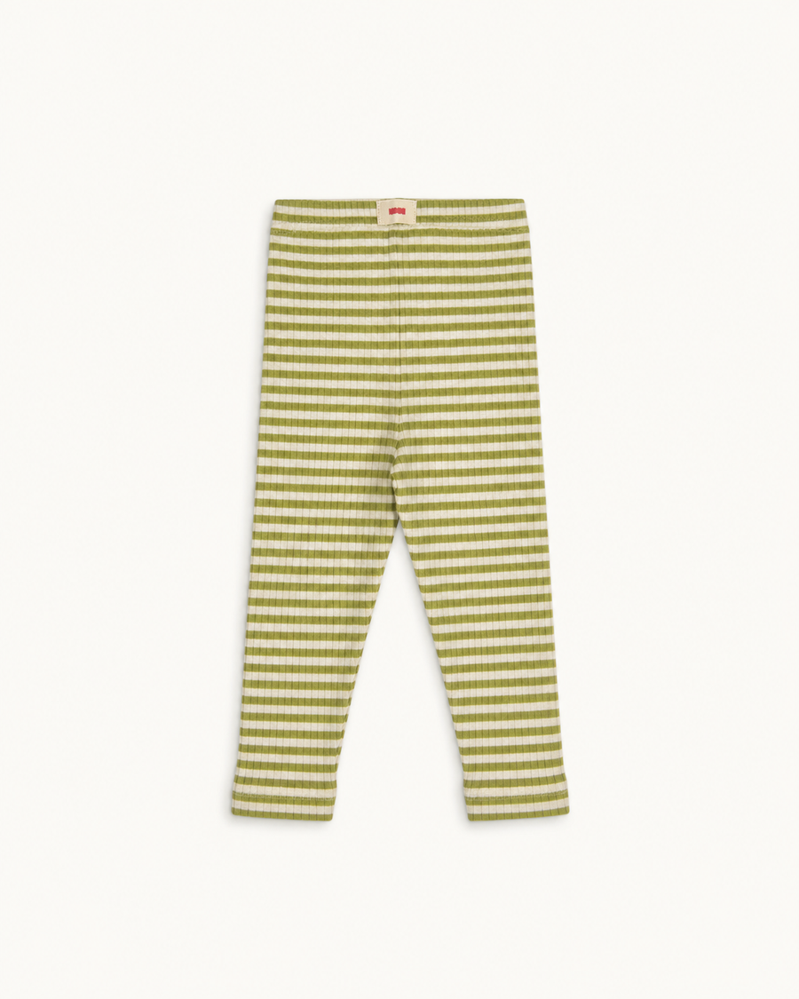 Green and cream striped Whippet baby leggings with elastic waistband, back view