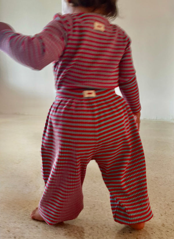 The Pickle Pant — Red / Aqua