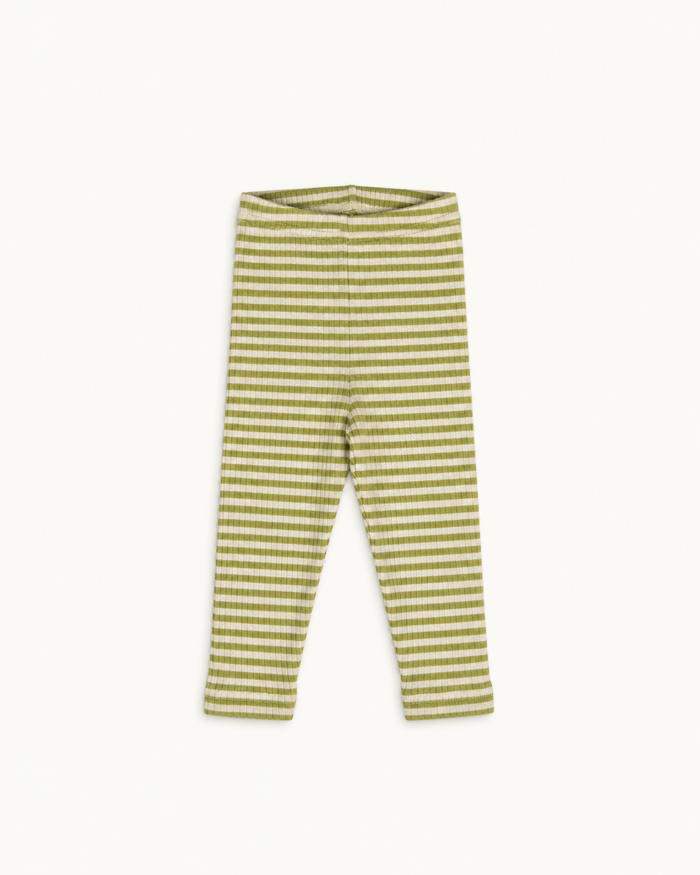 The Whippet Legging